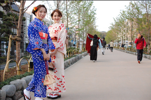 歴史情緒ある街、鎌倉を着物で散策体験＠鎌倉