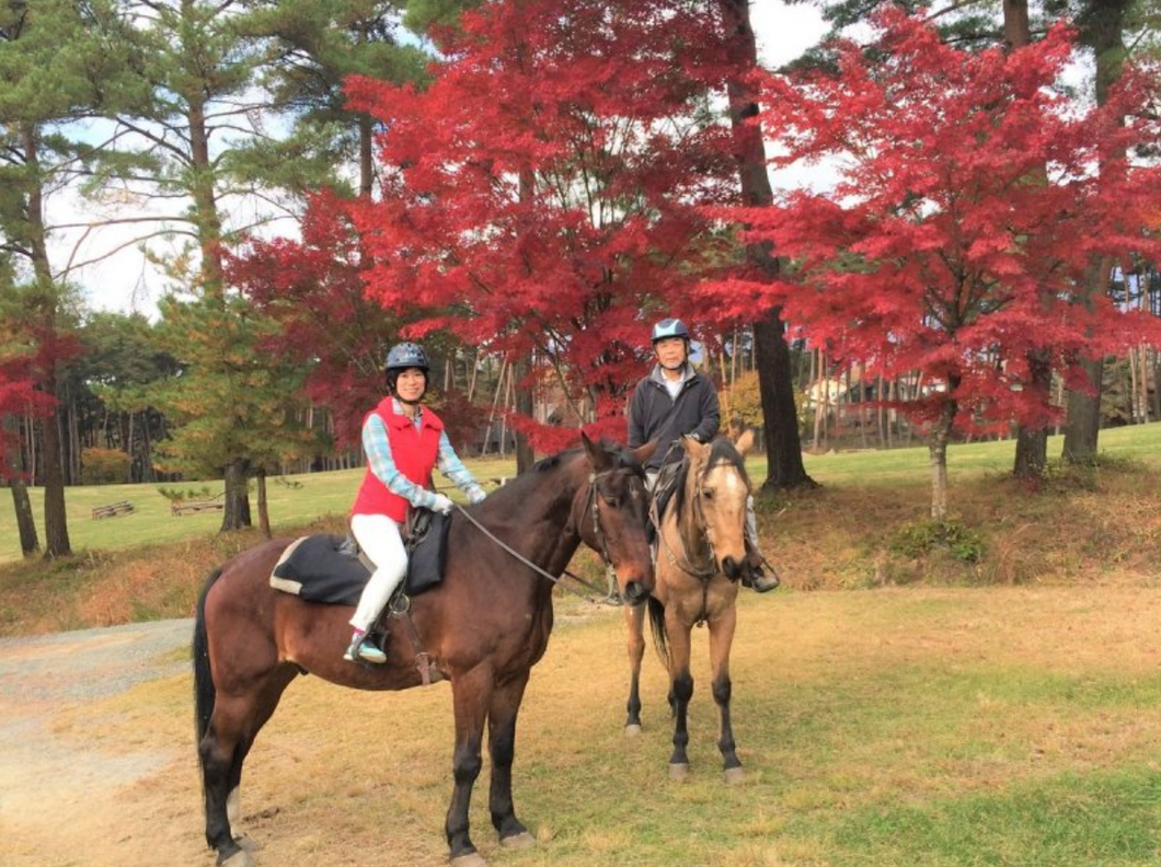 秋の紅葉風景を楽しみながら、初めての乗馬体験@山梨